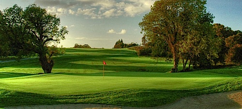 View project New Forest Golf Resort, Tyrellspass, Ireland